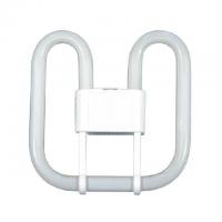 2D 21W 4PIN 3500K GR10Q